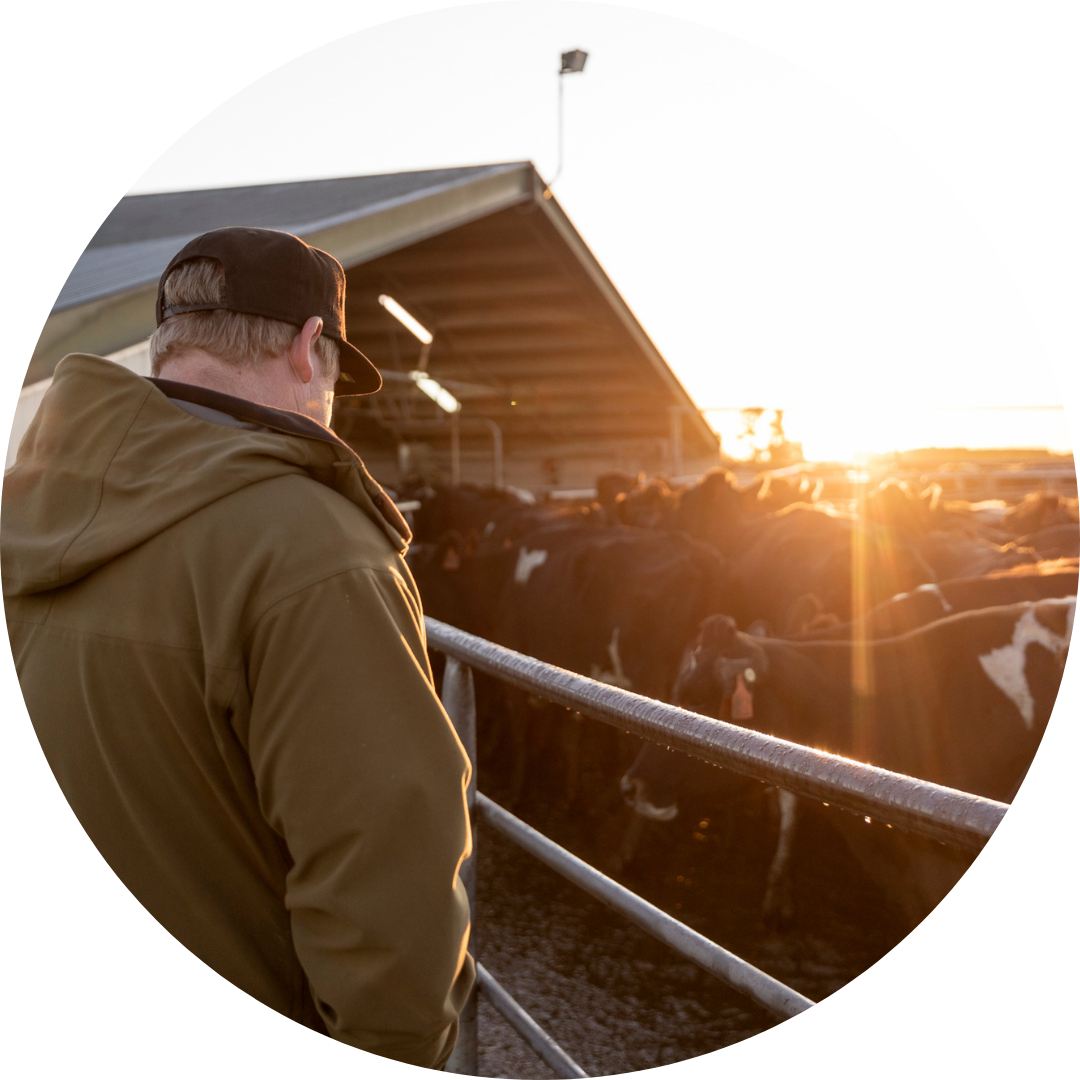 Livestock-lending-circle
